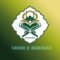 Noor-e-Hidayat